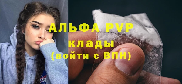крисы Аркадак