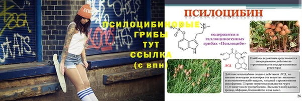 крисы Аркадак