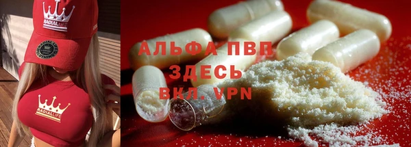 крисы Аркадак