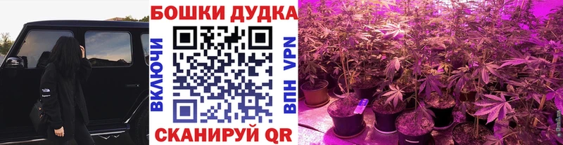 Шишки марихуана индика  Нюрба 
